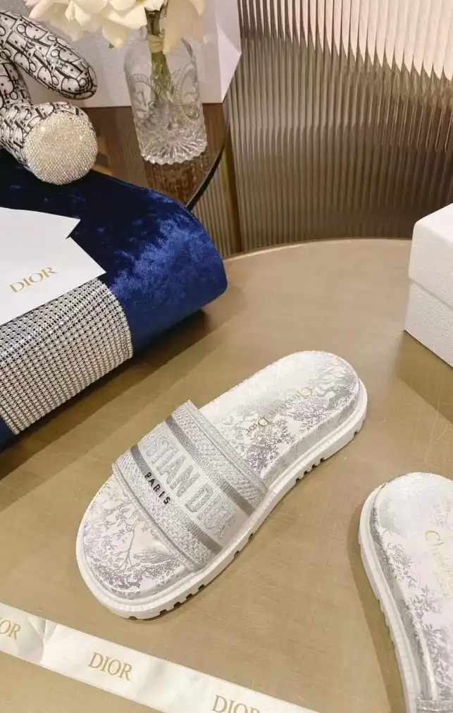 hype Christian Dior Slippers