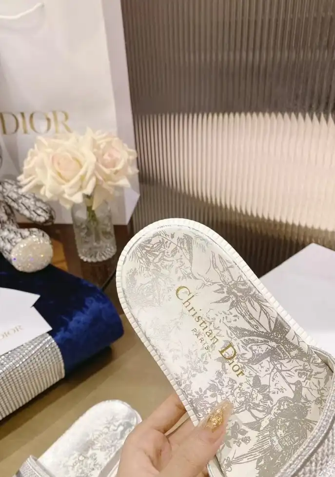 hype Christian Dior Slippers