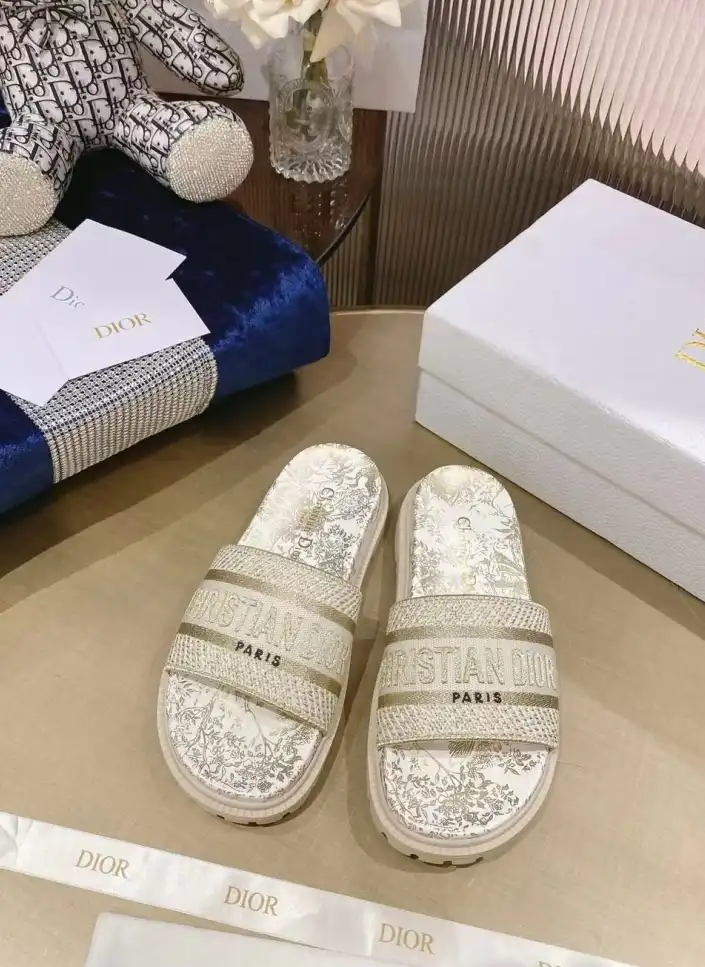 hype Christian Dior Slippers