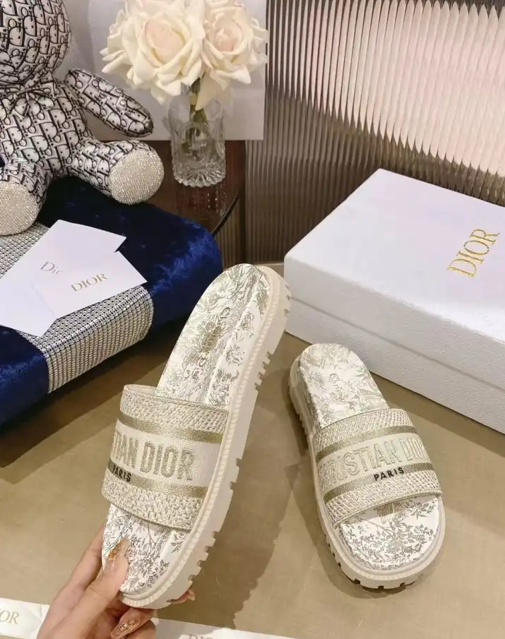 hype Christian Dior Slippers