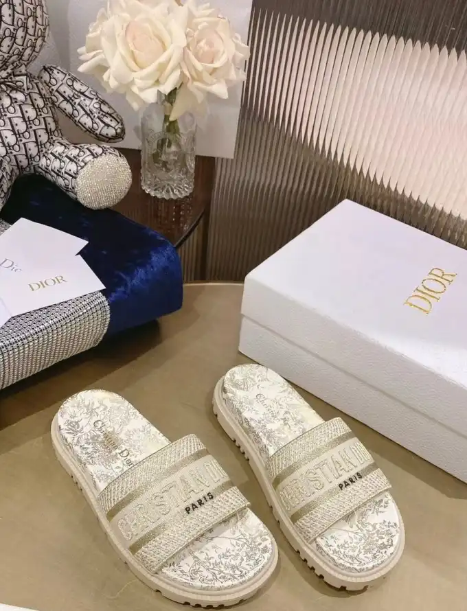 hype Christian Dior Slippers