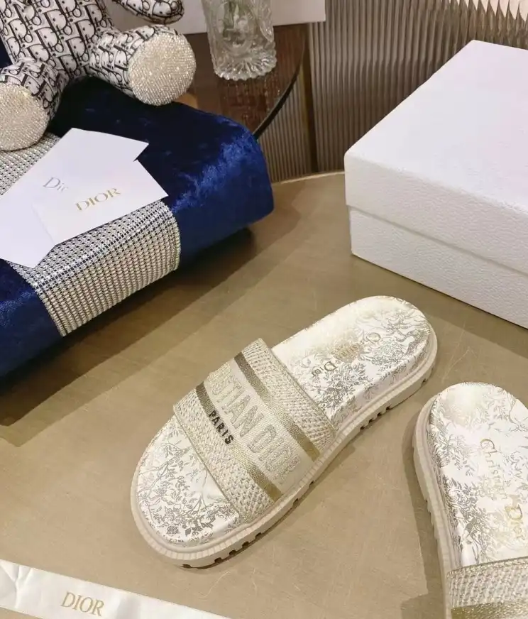 hype Christian Dior Slippers