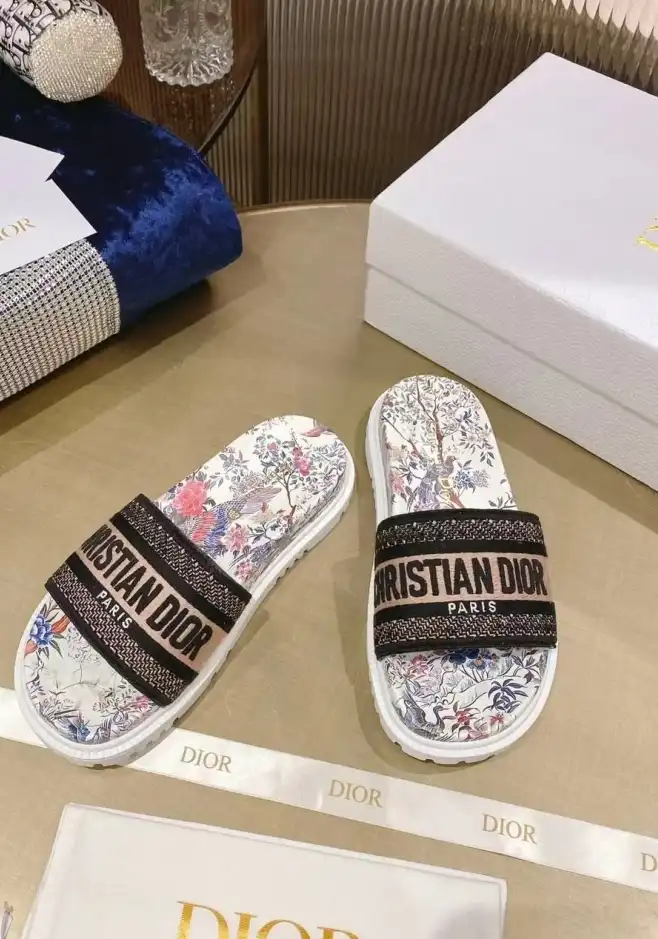 hype Christian Dior Slippers