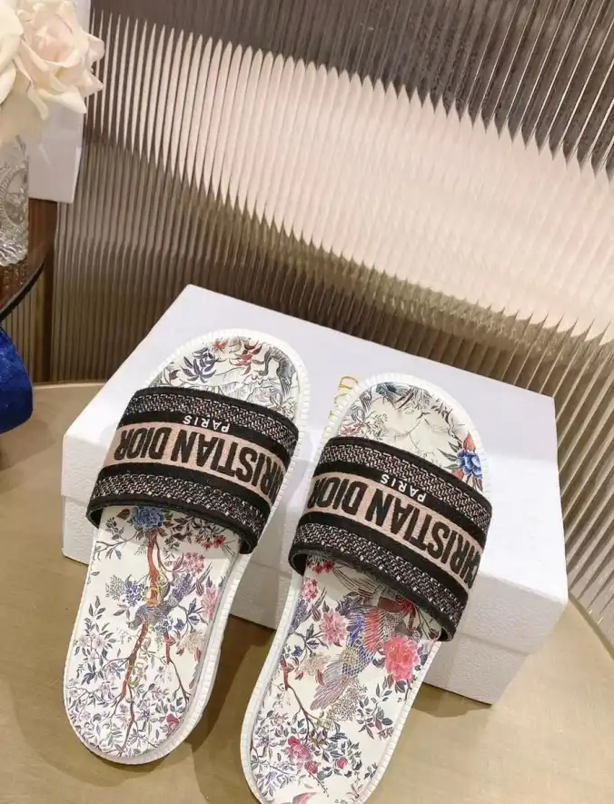 hype Christian Dior Slippers