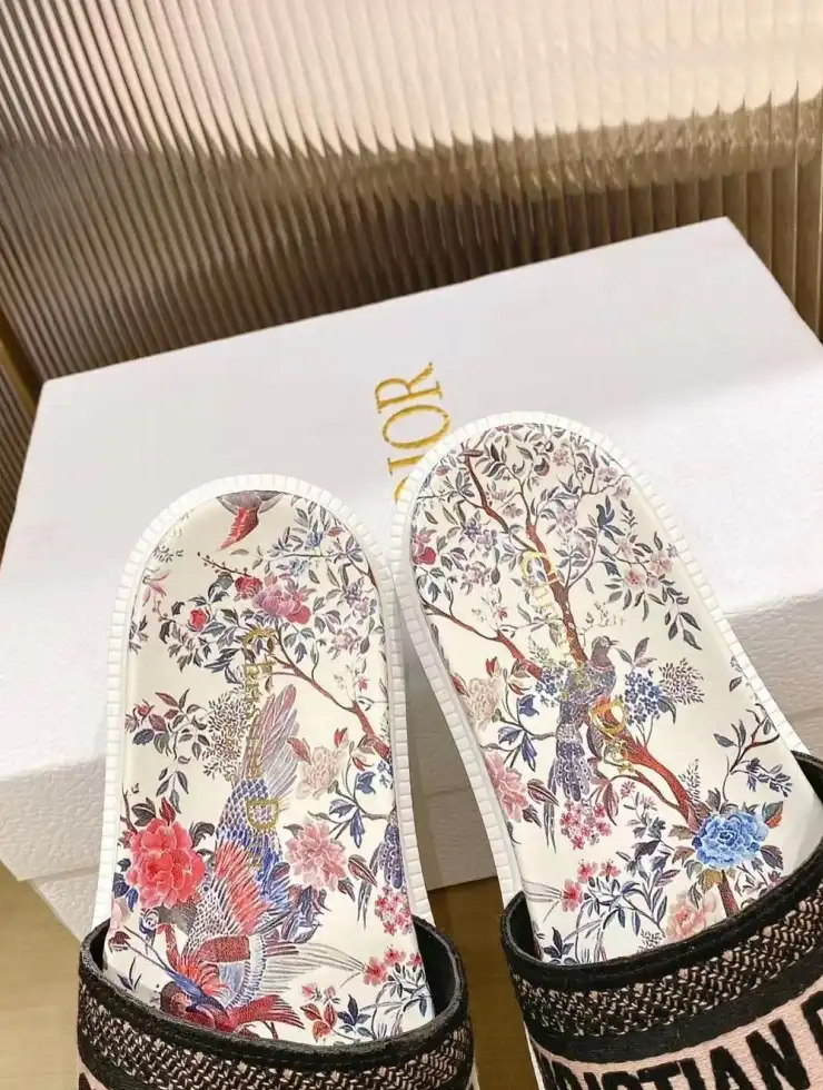 hype Christian Dior Slippers