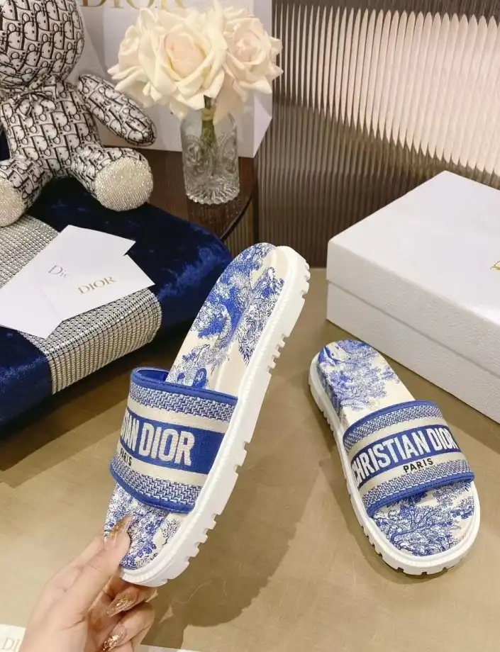 hype Christian Dior Slippers