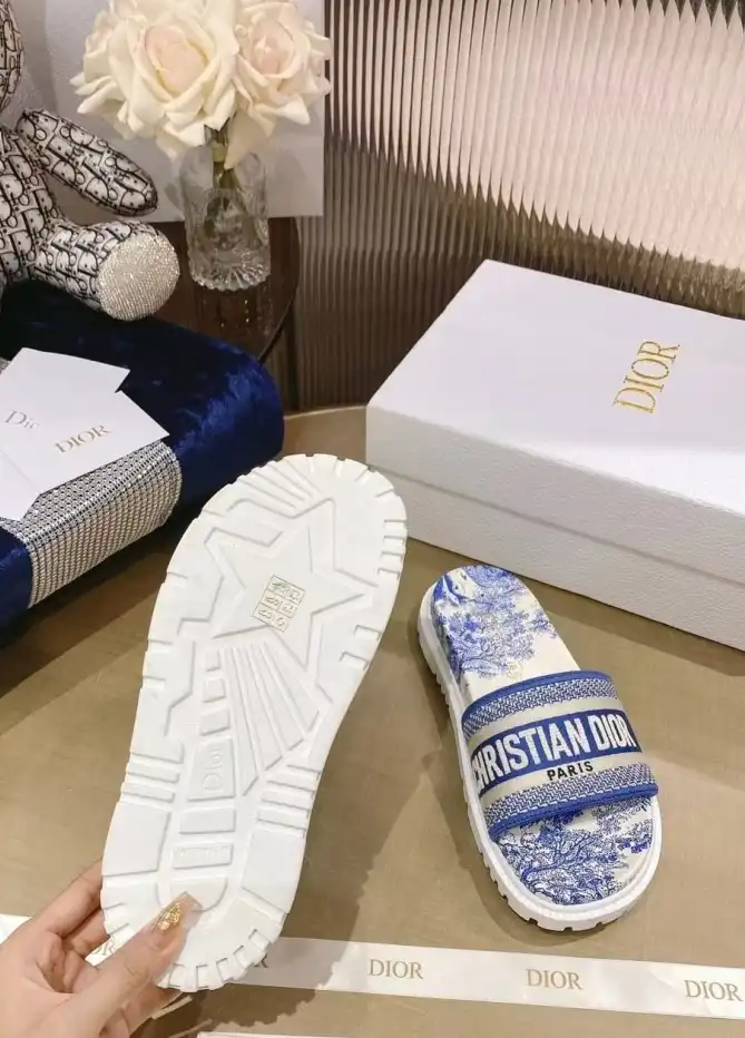 hype Christian Dior Slippers