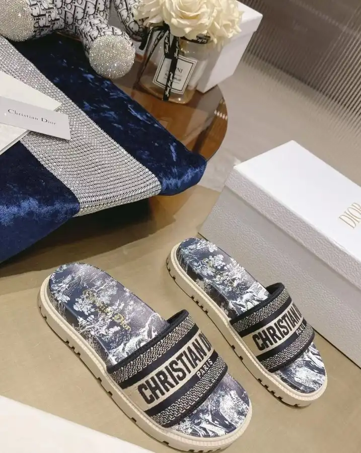 hype Christian Dior Slippers