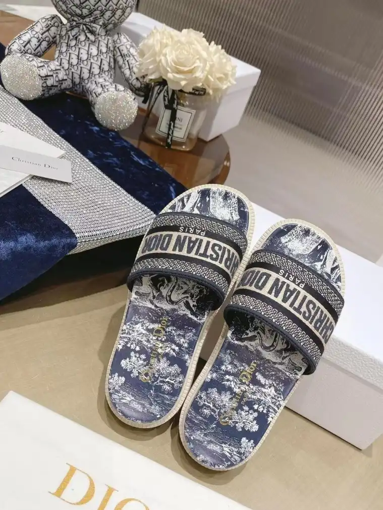 hype Christian Dior Slippers