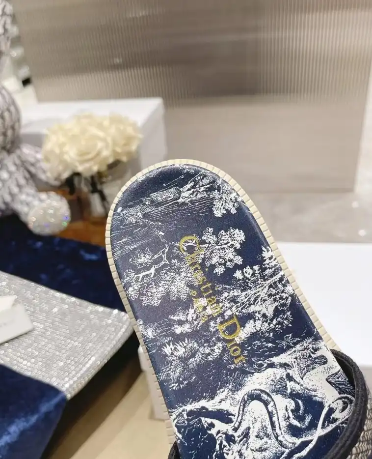 hype Christian Dior Slippers