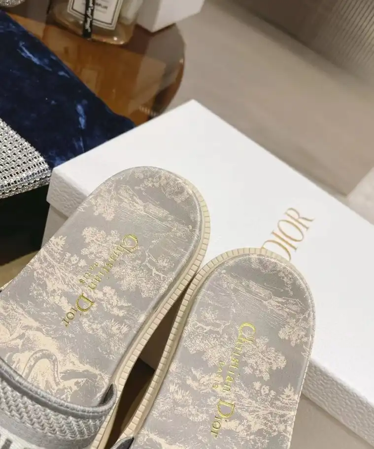 hype Christian Dior Slippers