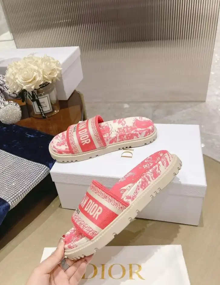 hype Christian Dior Slippers