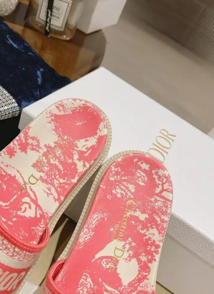 hype Christian Dior Slippers