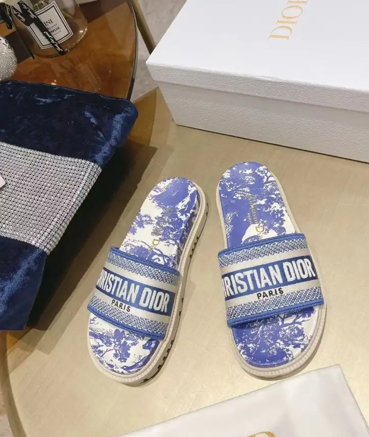 hype Christian Dior Slippers