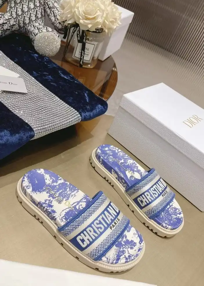 hype Christian Dior Slippers