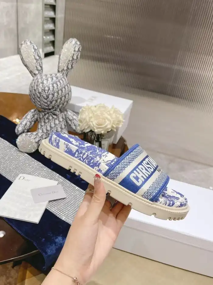 hype Christian Dior Slippers