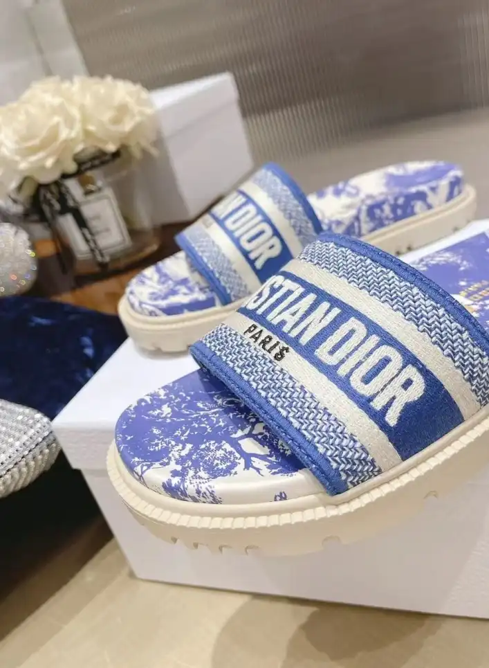 hype Christian Dior Slippers