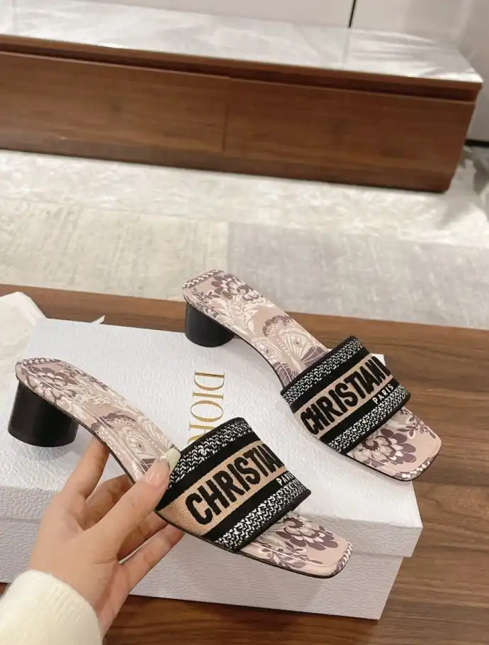 hype Christian Dior Slippers