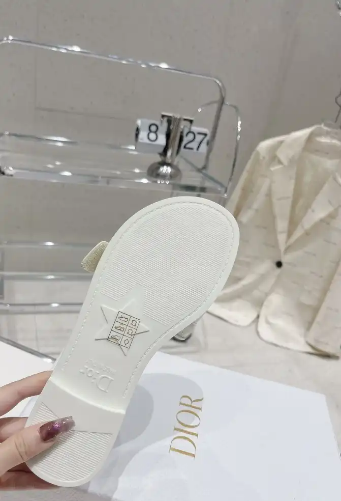 hype Christian Dior Slippers