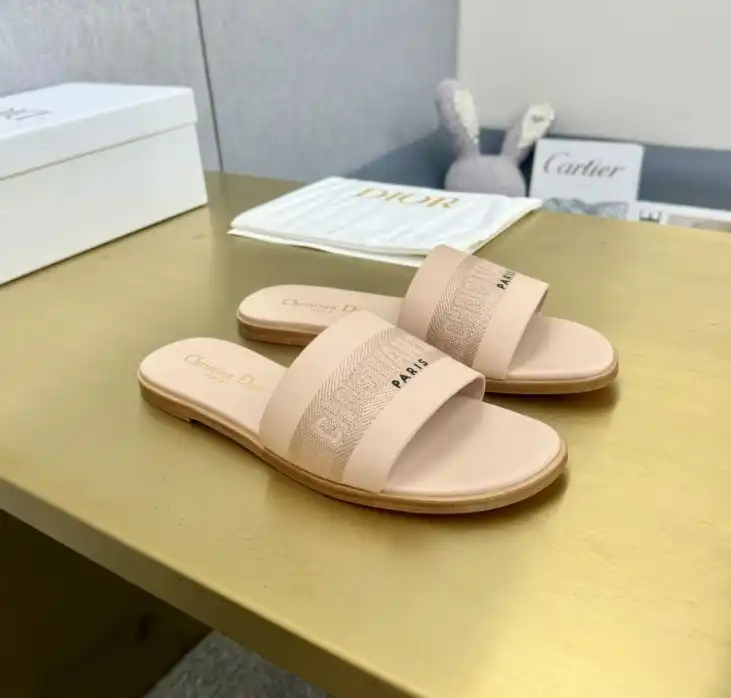 hype Christian Dior Slippers