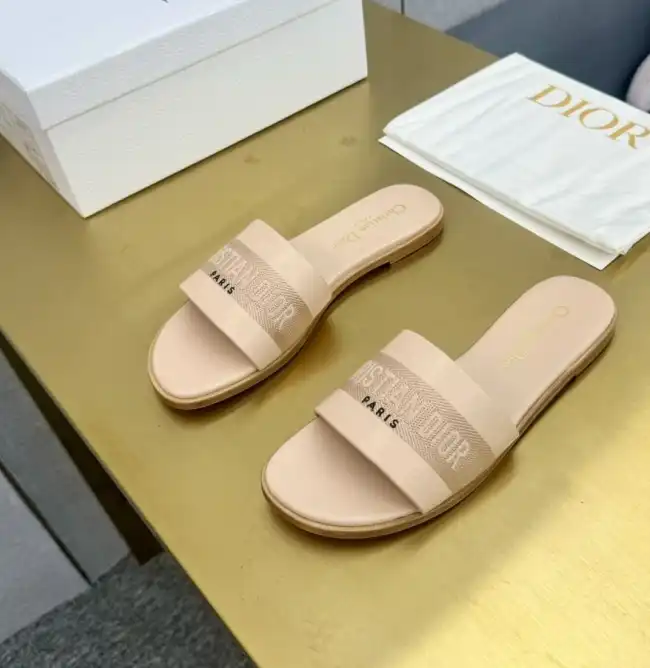 hype Christian Dior Slippers