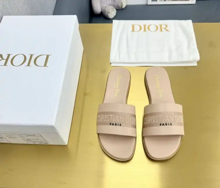 hype Christian Dior Slippers