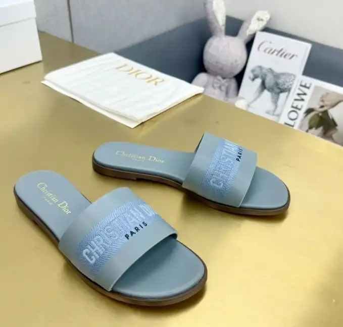 hype Christian Dior Slippers