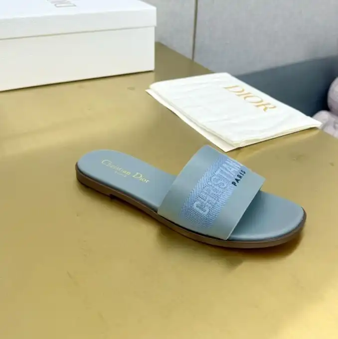 hype Christian Dior Slippers