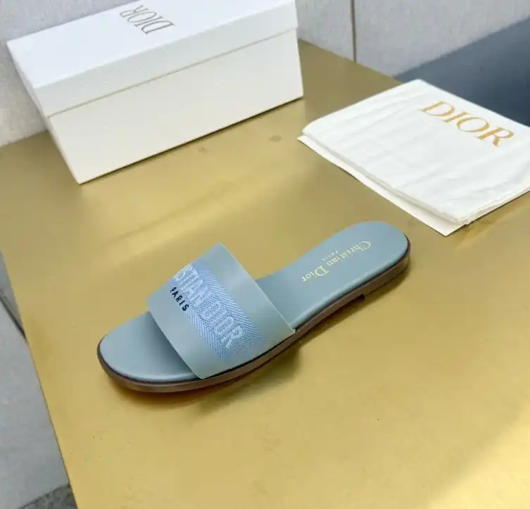 hype Christian Dior Slippers