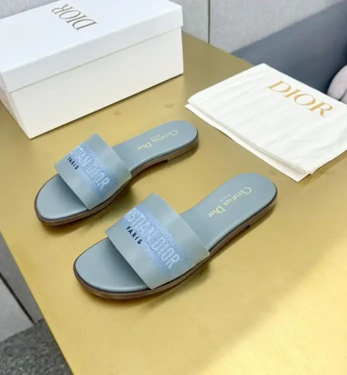 hype Christian Dior Slippers