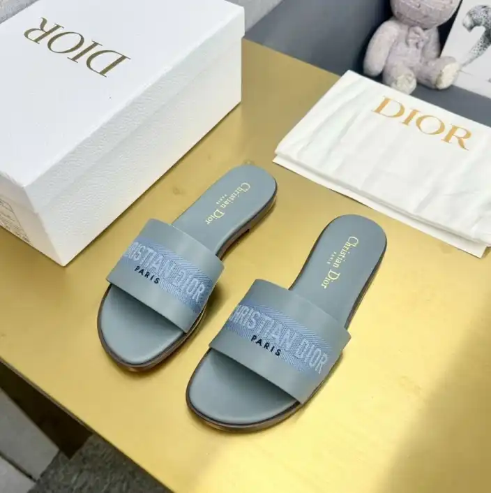 hype Christian Dior Slippers