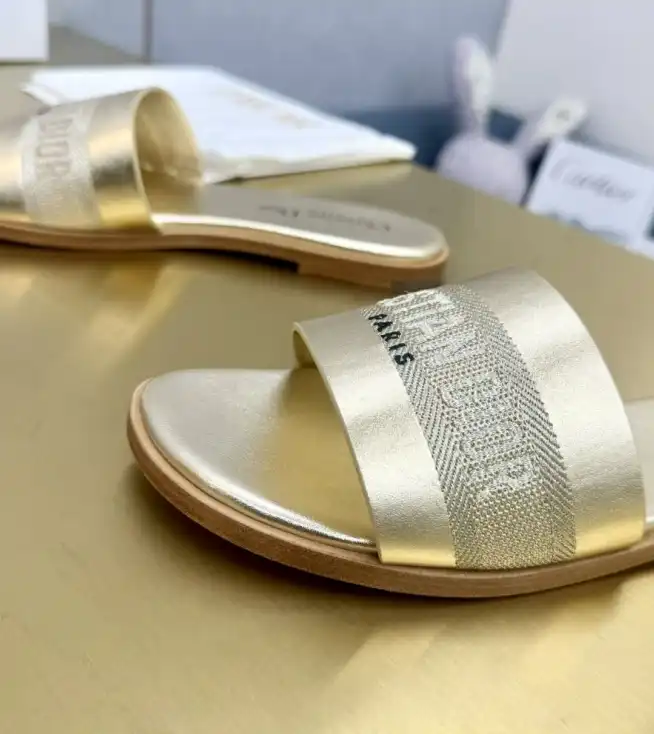 hype Christian Dior Slippers