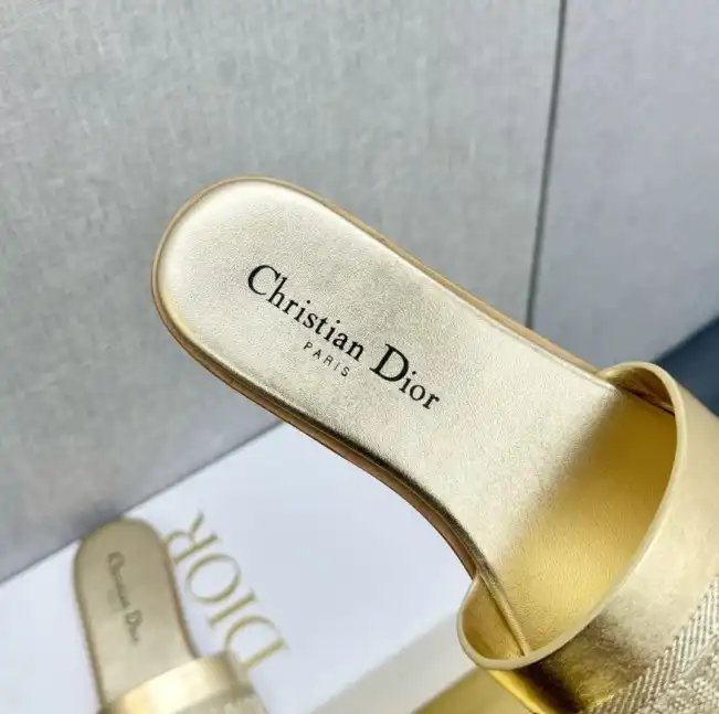 hype Christian Dior Slippers