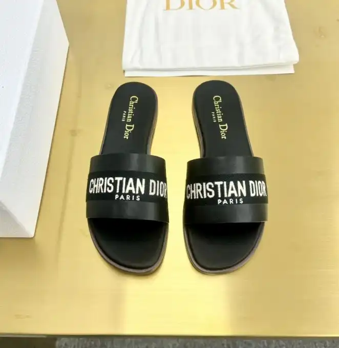 hype Christian Dior Slippers