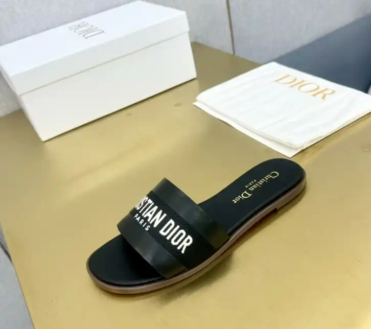 hype Christian Dior Slippers