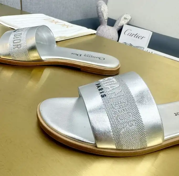 hype Christian Dior Slippers