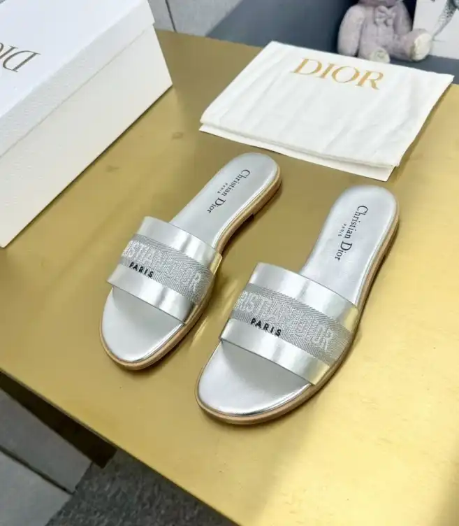 hype Christian Dior Slippers