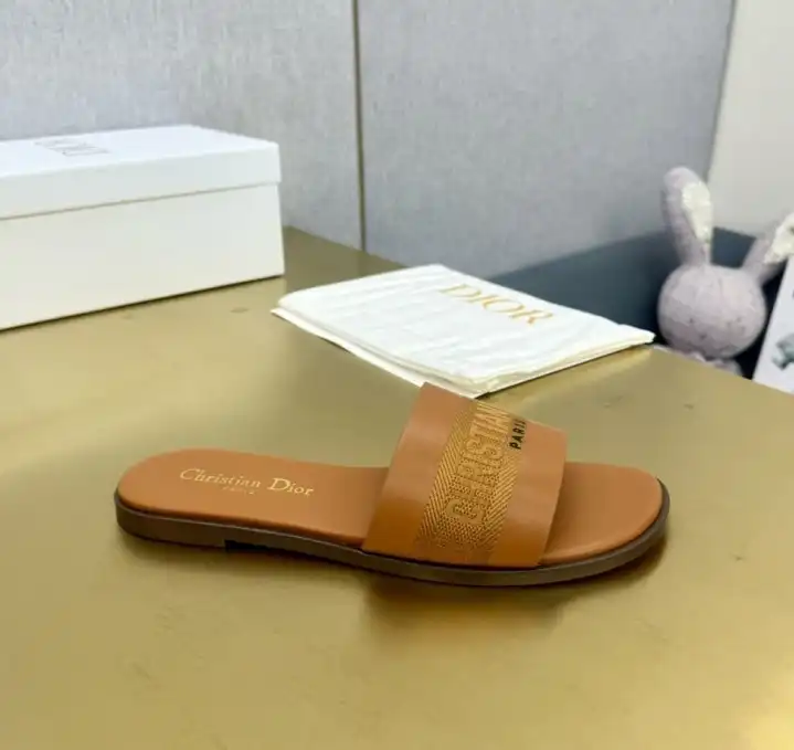 hype Christian Dior Slippers