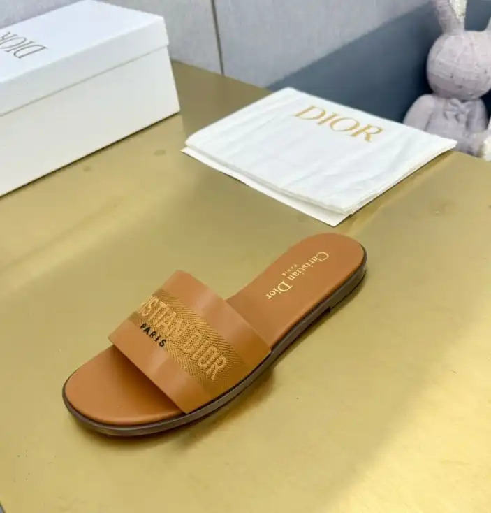 hype Christian Dior Slippers