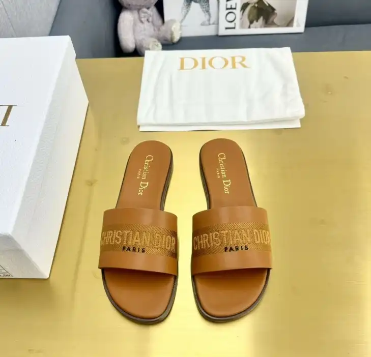 hype Christian Dior Slippers