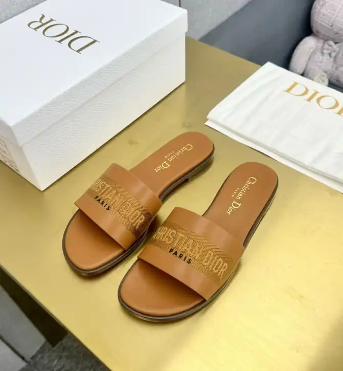 hype Christian Dior Slippers