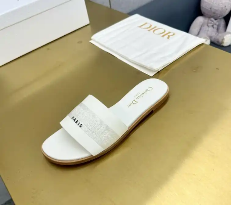 hype Christian Dior Slippers