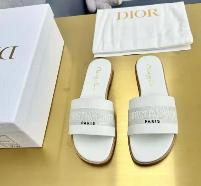 hype Christian Dior Slippers