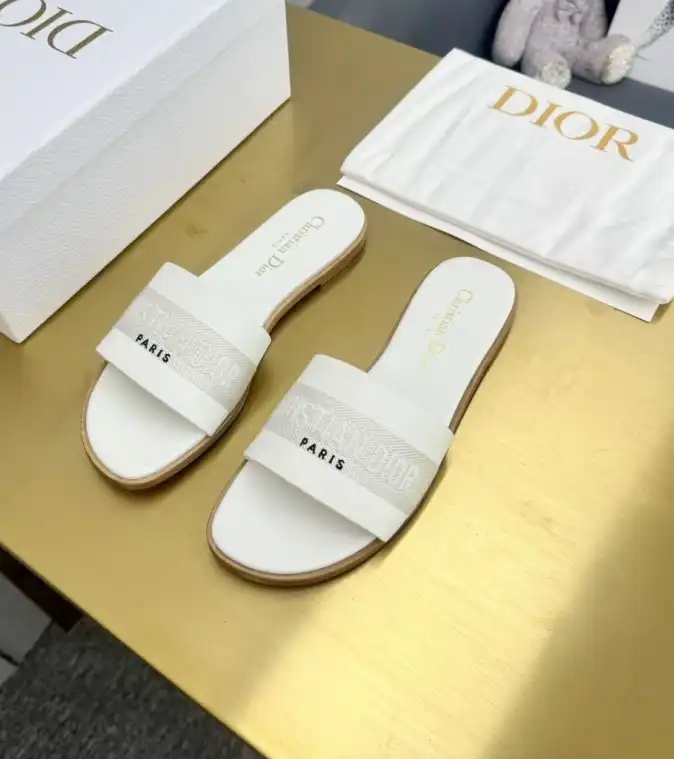 hype Christian Dior Slippers