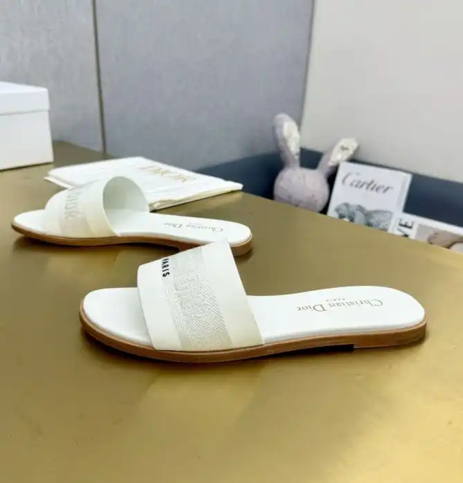 hype Christian Dior Slippers