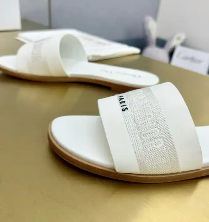 hype Christian Dior Slippers