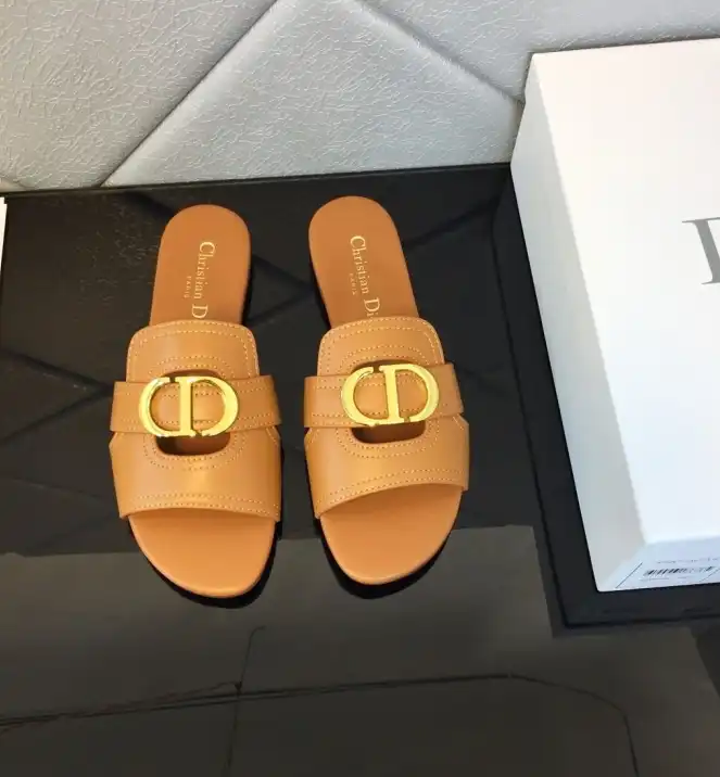 hype Christian Dior Slippers