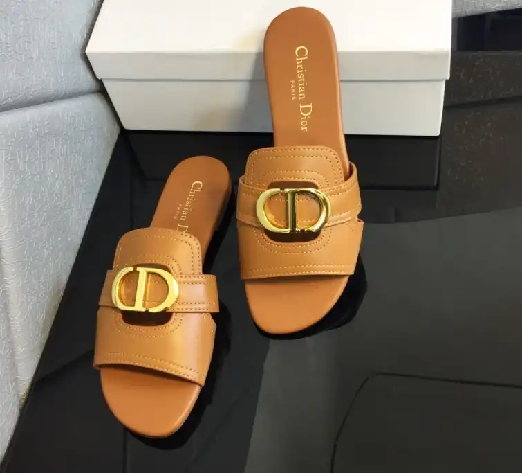 hype Christian Dior Slippers