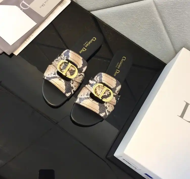 hype Christian Dior Slippers