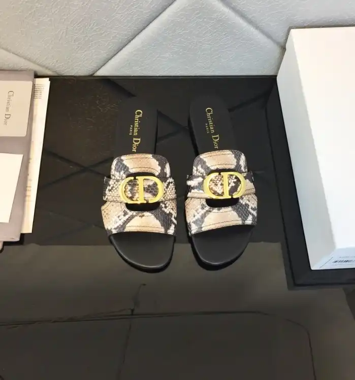 hype Christian Dior Slippers